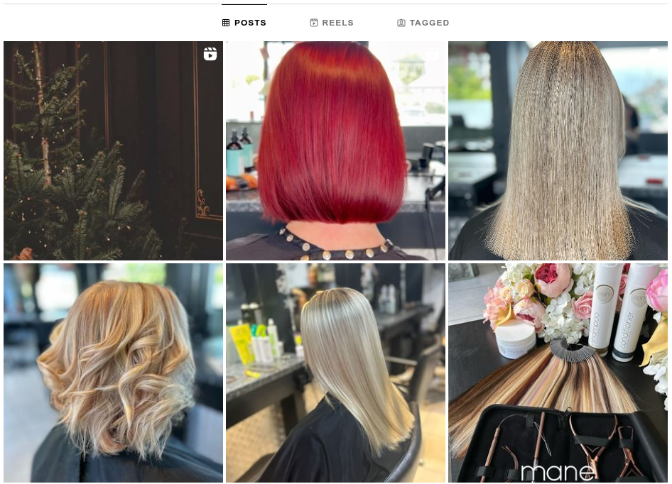 Mane Attraction Instagram